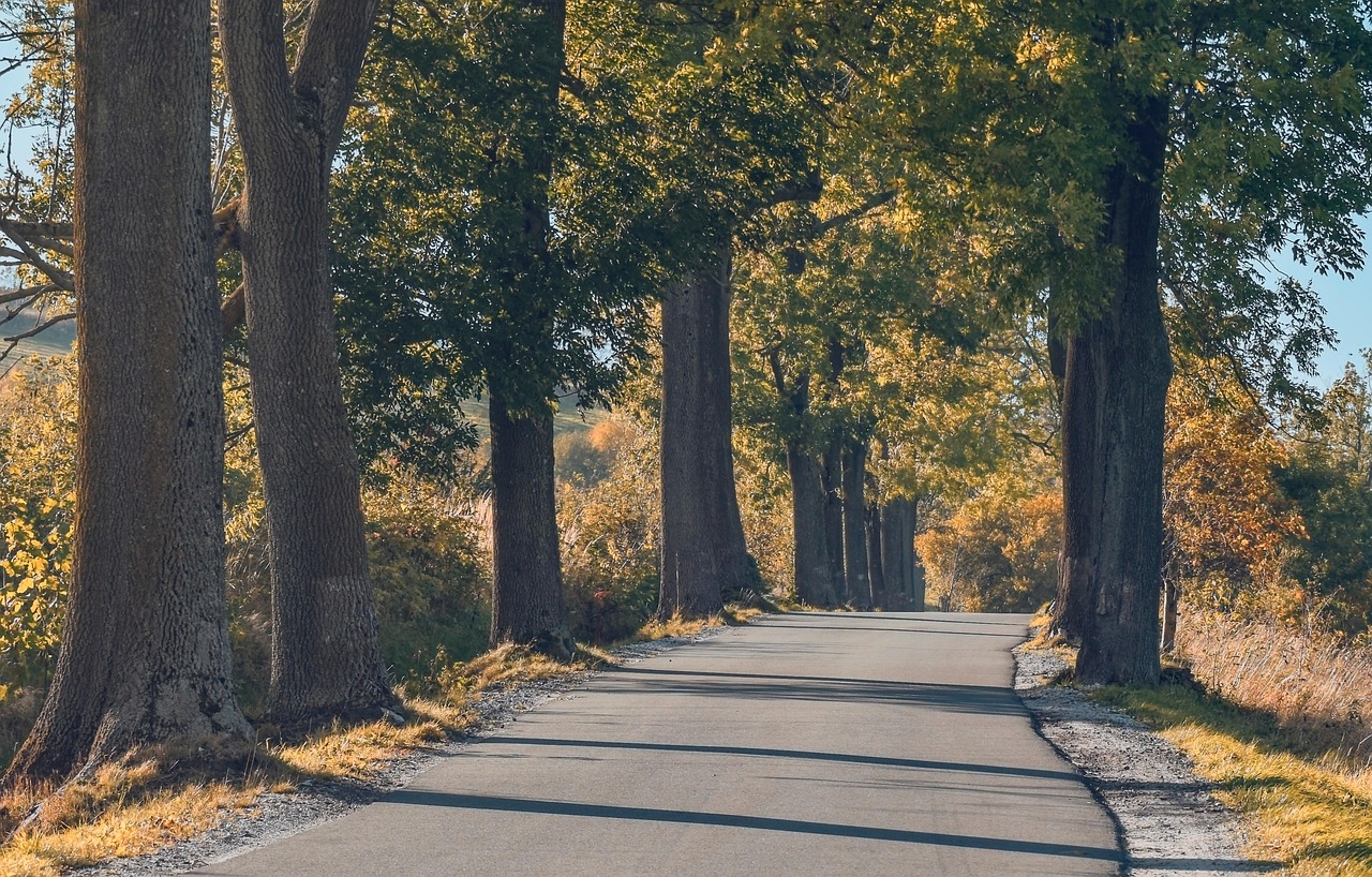 découvrez les avantages du voyage hors saison : moins de foule, prix réduits et expériences uniques. planifiez votre escapade idéale en toute tranquillité grâce à nos conseils experts.