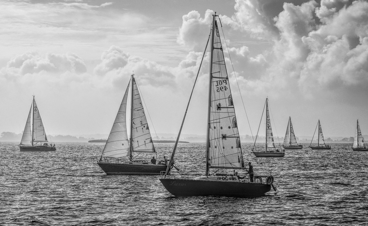 découvrez une gamme passionnante de sports nautiques pour tous les niveaux, des activités de détente aux sensations fortes sur l'eau.